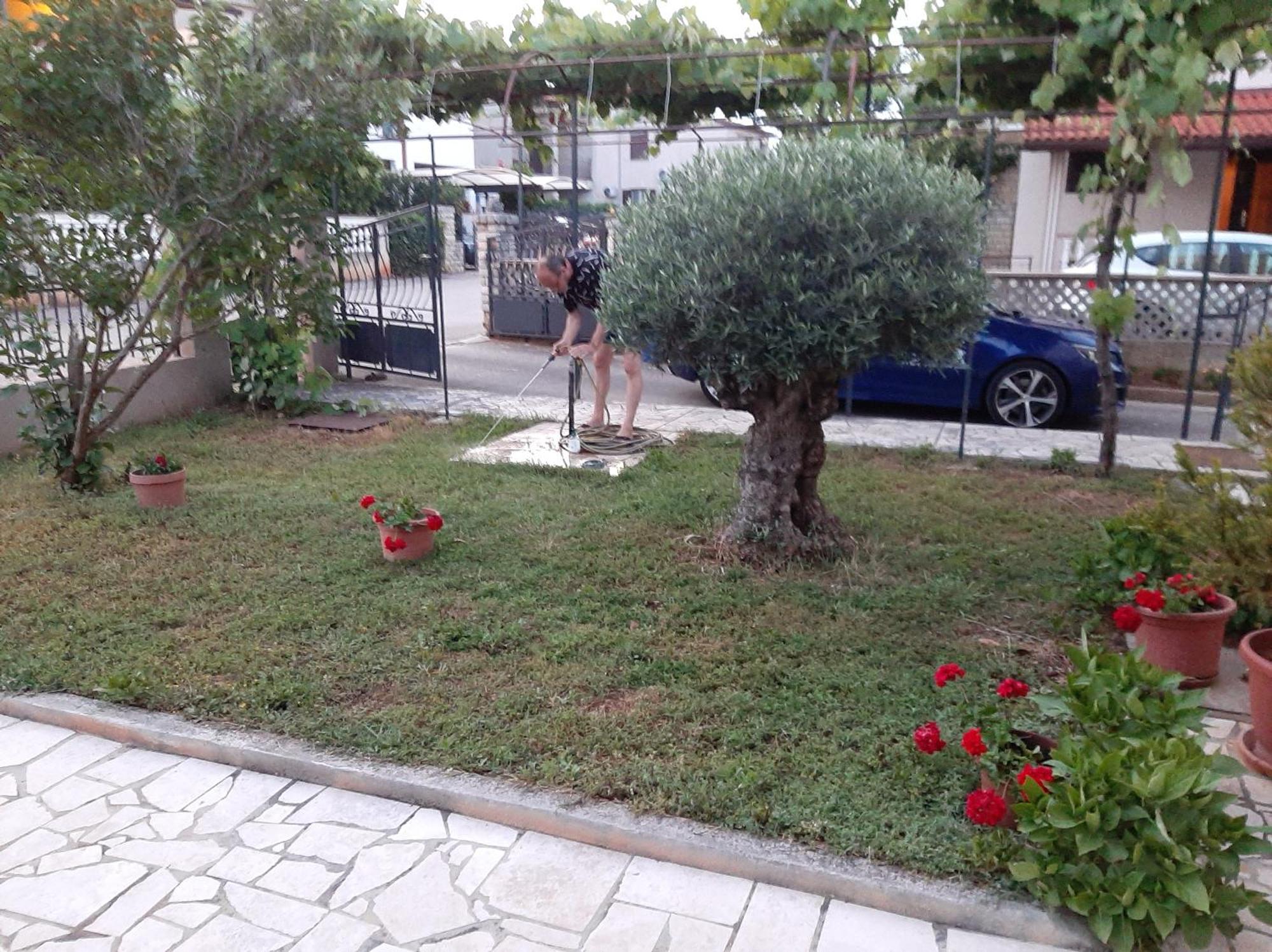 Apartment Stefania Ровин Стая снимка